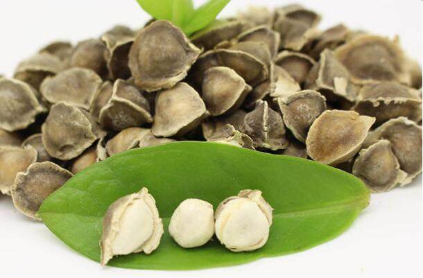 辣木籽的功效與作用有很多，但這5類人群不適合食用