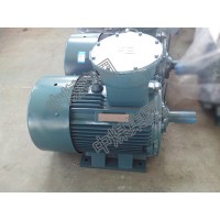 YBK2三相異步電機(jī)