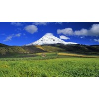 真相！科創宏融資融券不正規！揭開老師指導虧得原因！