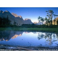 曝光,利德期權(quán)不正規(guī),老師指導(dǎo)虧損內(nèi)幕揭露