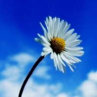 真相揭露！搏股論金不正規(guī)！親身經(jīng)歷講述受騙虧損真相