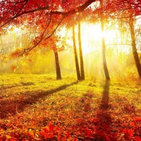 揭秘金銀海不正規(guī)，老師喊單害你內(nèi)幕揭露