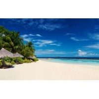 曝光天元農商農產品虧損騙局！老師帶單指導不正規！自述追回經歷