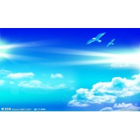 撮合網(wǎng)是正規(guī)的平臺？撮合寶被騙者揭開虧損真相