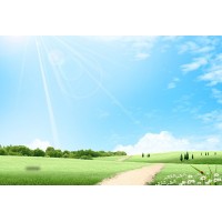 曝光!一號期權不正規(guī)!虧損被騙竟是老師故意的