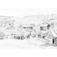 爆料協聯期貨正規合法嗎？為何帶你做頻頻虧損