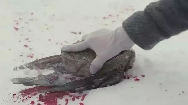 現實版孤兒怨VS電影版《孤兒怨》現實永遠比電影更恐怖，太嚇人了！