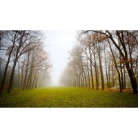 真相揭露易盈資訊不正規(guī)！騙局揭露坑我?guī)资f事實真相！