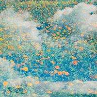 曝光！都銘資本正規(guī)嗎？老師帶單虧損后被踢出去群！難友速來(lái)