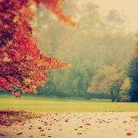 真相揭露國富證券正規靠譜嗎？騙局揭秘坑我幾十萬!難友速來