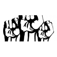 1號期權騙局解析!揭露被騙虧損內幕!難友速度看來!