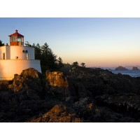 王侯點(diǎn)將正規(guī)嗎？被騙虧損的慘痛經(jīng)歷我還能挽回?fù)p失嗎？