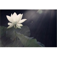 易路商城受害者真實(shí)虧損被騙經(jīng)歷!本人親口講述如何被騙！