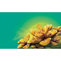 金文電子商務平臺正規嗎？做鉆石和田青玉虧損幾十萬能挽回嗎？