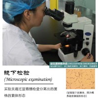 【酸菌OEM|一然生物】吉首|發(fā)酵劑牌子|優(yōu)質(zhì)供應