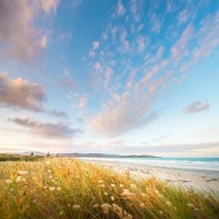 曝光心態贏家不正規！揭露廖丁霖帶單坑我幾十萬真相