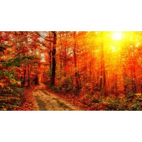 ACL數字資產收益為何這么高？因為都是假的