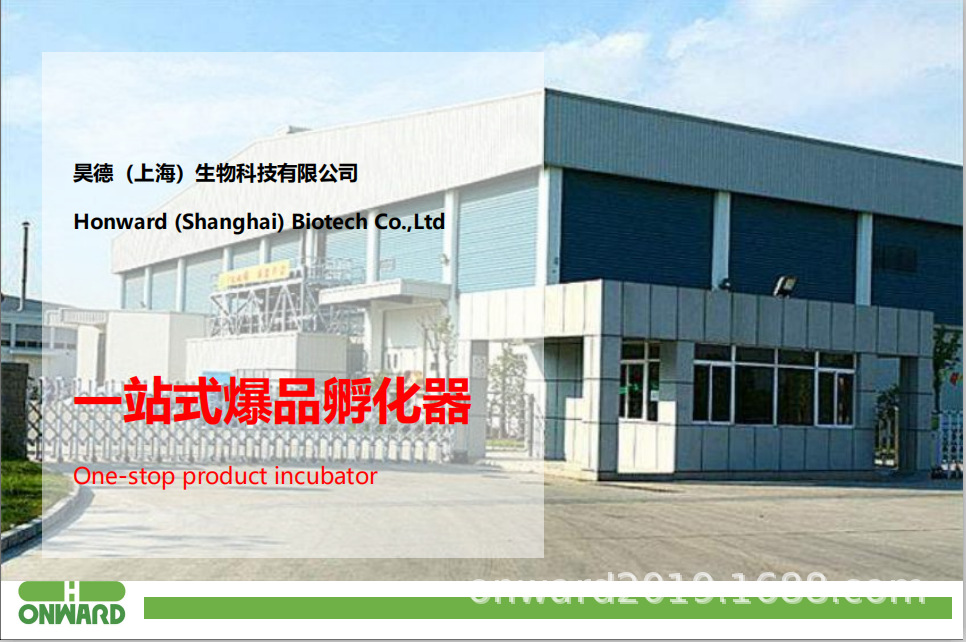 排版插圖 (4).png