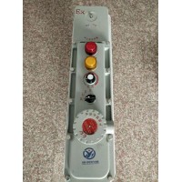 BDR-13片2500W220V防爆電暖器油汀