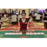 新百勝正規(guī)網(wǎng)投實(shí)體平臺APP官方版下載