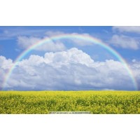 揭穿多陽網(wǎng)不正規(guī)！被騙虧損無法出金！揭露真相本人親歷