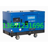 日本進口東洋發電機TDL11000E-B