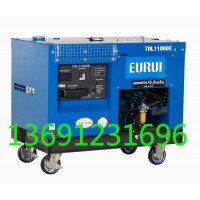 東洋發電機TDL11000E