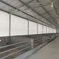 豬舍豬場卷簾布擋風(fēng)保暖卷簾 養(yǎng)殖場牛場羊場卷簾布批發(fā)