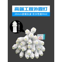 星羅之光工程款LED外露燈