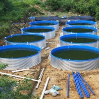 高密度水產養殖池 鐵桶支架鍍鋅板水池 養蝦圓形帆布魚池