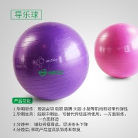 山東三匯 導(dǎo)樂(lè)球 分娩球 55cm/65cm 健康分娩