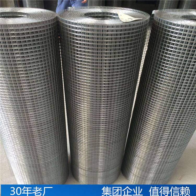 鐵絲網興來鋼結構鍍鋅電焊鐵絲網廠家直銷