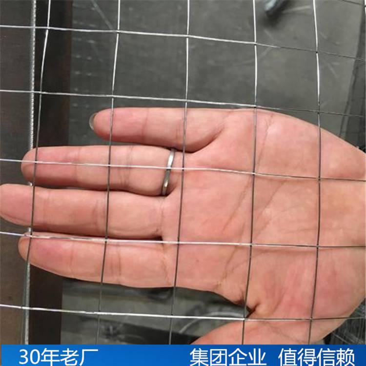 鐵絲網興來鋼結構鍍鋅電焊鐵絲網廠家直銷