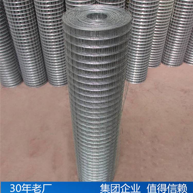 鐵絲網興來鋼結構鍍鋅電焊鐵絲網廠家直銷