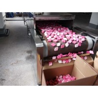 微波人造絲花干燥固色機