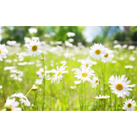 盈亞證券投資期貨投資中虧錢該怎么辦?有人指導(dǎo)炒期貨是騙局嗎?