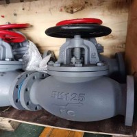 船用日標球形閥鑄鐵截止閥JIS F7305 F7307