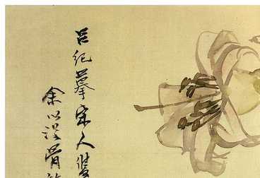 mysql查看刪除數(shù)據(jù)庫(kù) |mysql invalid drive